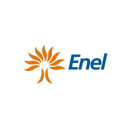 Il Pittogramma del logo Enel
