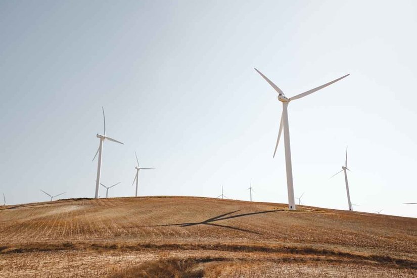 L'importanza della transizione ecologica delle aziende